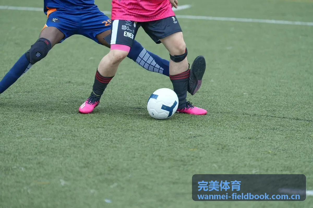 完美体育赛事焦点现场氛围